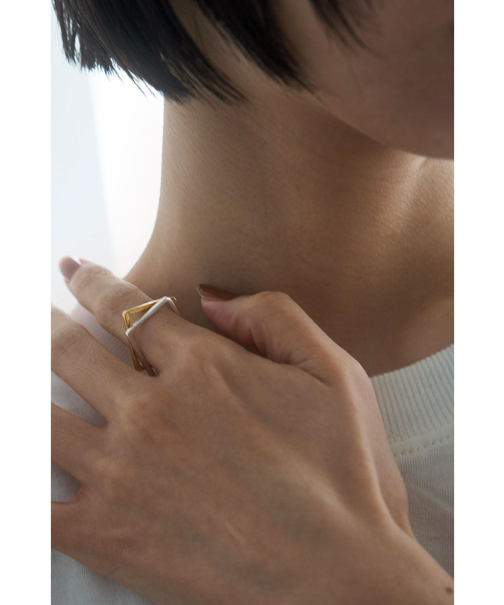 アクセサリーまとめ売り WEB限定 silver925 twinカラーネックレス | Rarupaputi