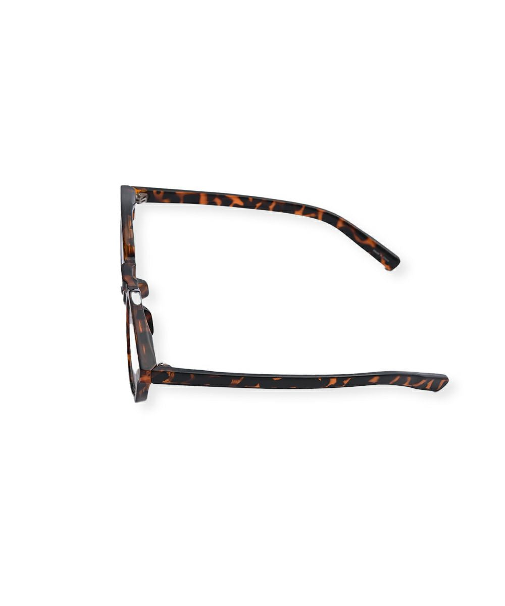 NUANCE COLOR FRAME GLASSES